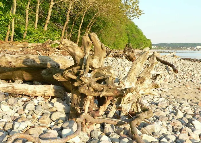 Appartement Nr_ 9 _ 10 Binz